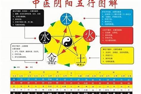 飲食業 五行|【飲食業五行】飲食業五行：如何在餐飲業中平衡火與水的能量？。